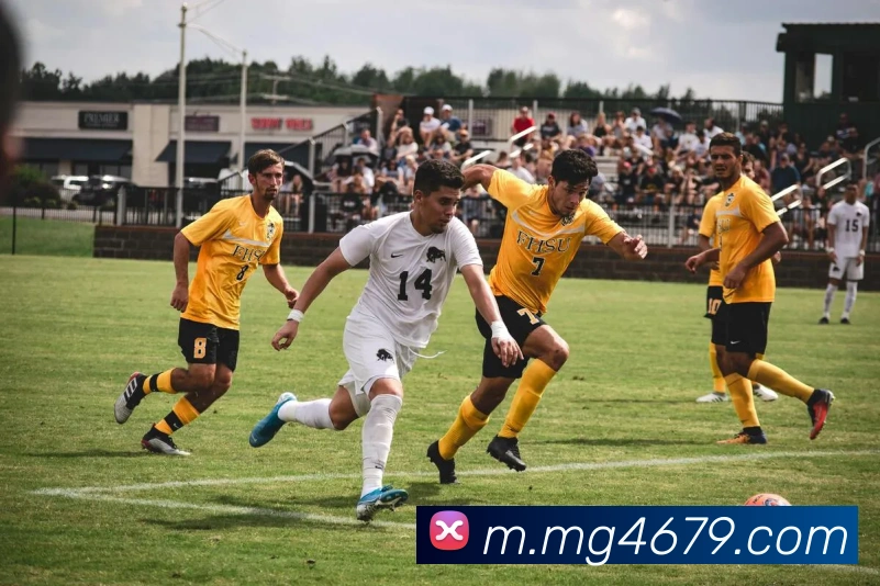 MG娱乐平台官网APP 封面图